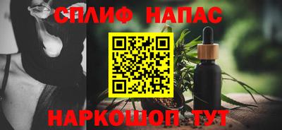 прущие грибы Краснодар