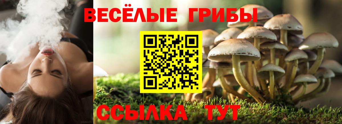 Галлюциногенные грибы ЛСД  Псилоцибиновые грибы Psilocybine cubensis  Дедовск  Вход с VPN 